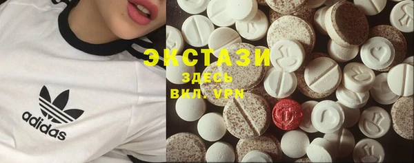 индика Бугульма