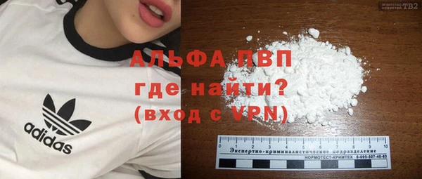 индика Бронницы