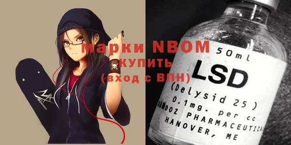 индика Бронницы