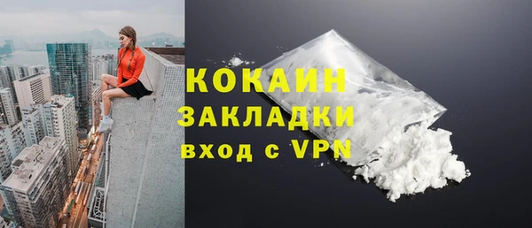 мет Бородино