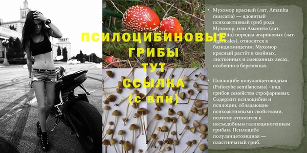 индика Бронницы