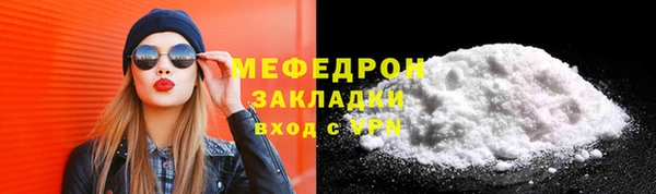индика Бронницы