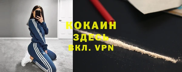 индика Бронницы