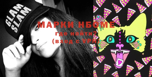 индика Бронницы