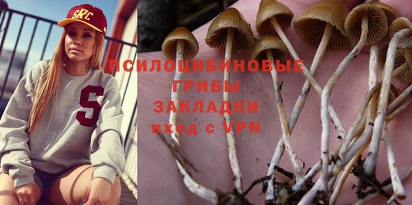 индика Бронницы