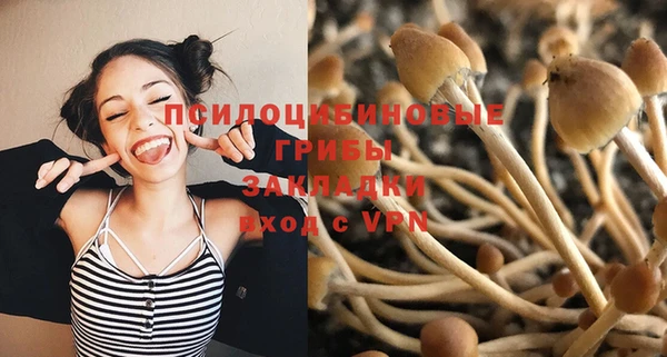 мет Бородино