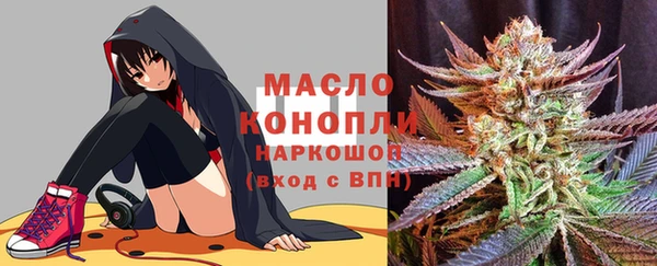 индика Бугульма