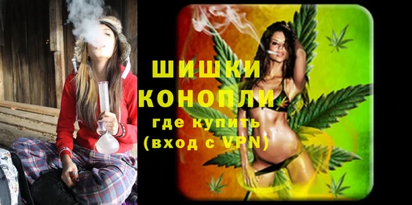 индика Бронницы
