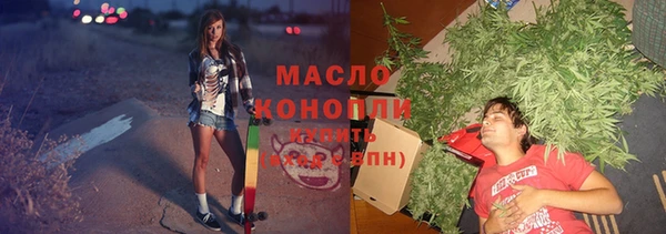 индика Бугульма