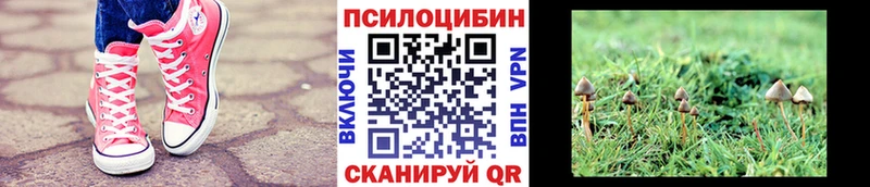 Псилоцибиновые грибы MAGIC MUSHROOMS  где можно купить наркотик  ссылка на мегу ссылки  Стерлитамак 