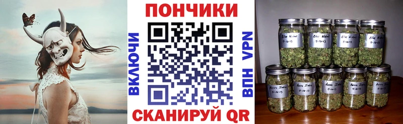 darknet официальный сайт  купить наркотик  Стерлитамак  Шишки марихуана OG Kush 